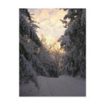 Winter Sky postcard