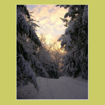 Winter Sky postcards