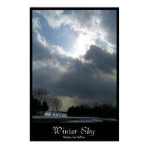 Winter Sky posters