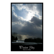 Winter Sky posters