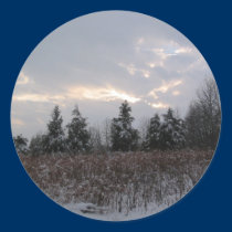 Winter Sky Sticker