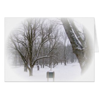 Winter Sleep card