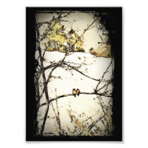 Winter Snow and Cold Art Photo