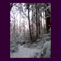 WINTER SNOW by SHARON SHARPE posters