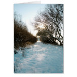 Winter Snow Covered English Countryside Path cards