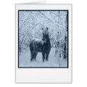 Winter snow horse cards by dahorsegifts Winter snow horse cards