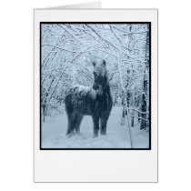 Winter snow horse cards