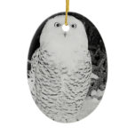 Winter Snow Owl Animal Wildlife Holiday Decoration Christmas Ornament