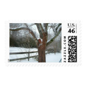 Winter Snow Postage stamp