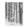 Winter Snow Postcards