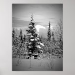 Winter Snow posters