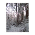 WINTER SNOW SCENE by SHARON SHARPE postcards by sharonsharpe WINTER SNOW SCENE by SHARON SHARPE postcards