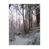 WINTER SNOW SCENE by SHARON SHARPE postcards