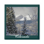 Winter Snow Scene,Colorado Refrigerator Magnet
