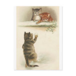 Winter snowball fun Postcard