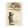 Winter snowball fun Postcard