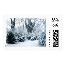 Winter Snowscape - Snow Covered Shrubs - Large Stamps