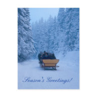 Winter snowy greetings! postcard