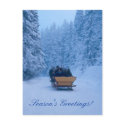 Winter snowy greetings! postcards