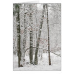 Winter Solace Card
