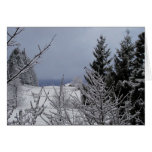 Winter Solstice Greeting Cards