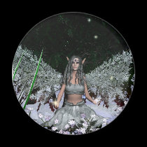 Winter Solstice magnets