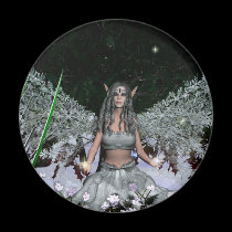 Winter Solstice magnets