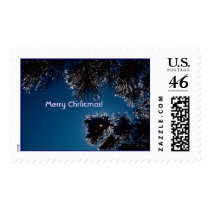 Winter sparkles / Ice on Pine Needles postage