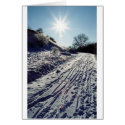 Winter Spielberg Full Card