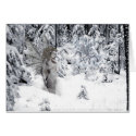 Winter Spirits Card