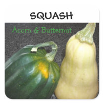 Winter Squash Sticker