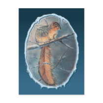 WINTER SQUIRREL by SHARON SHARPE postcards by sharonsharpe WINTER SQUIRREL by SHARON SHARPE postcards