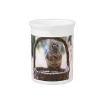 Winter Squirrel in Snow Drink Pitcher