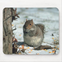 Winter Squirrel mousepads