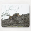 Winter Squirrel Mousepad by darenw5 Winter Squirrel Mousepad