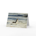 "Winter Squirrel" Wildlife Photo Greetig Card