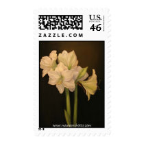 Winter Star Postage Stamp