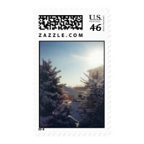Winter Star - postage stamps by Horseshoes3 Winter Star - postage stamps