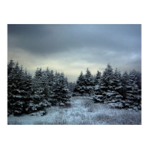 Winter Storm Poster posters