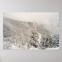 Winter Storm Posters