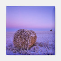 Winter Straw Bales near Cartwright North Refrigerator Magnets
