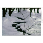 Winter Stream Cards