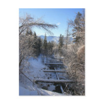 Winter Stream postcards