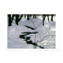 Winter Stream posters