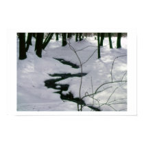 Winter Stream posters
