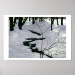 Winter Stream Posters