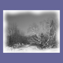 Winter Stream posters