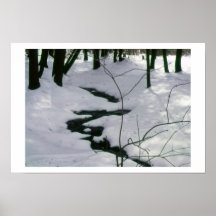Winter Stream Posters
