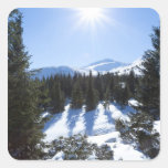 Winter sun 5 sticker