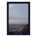 Winter Sun, Cape Cod, Massachusetts posters